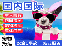 福成机场物流国际宠物托运 【国